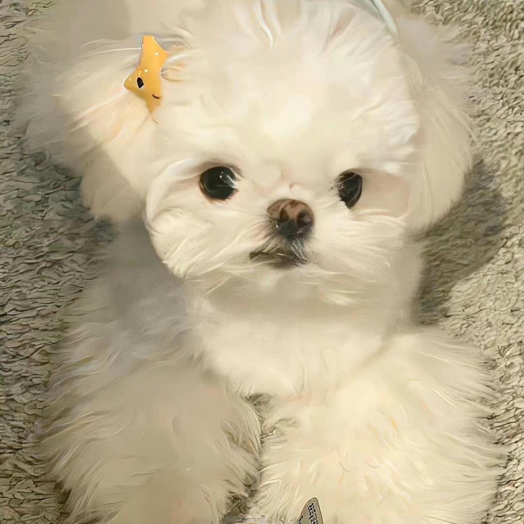 Lizzy