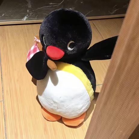 卡夫卡不熊