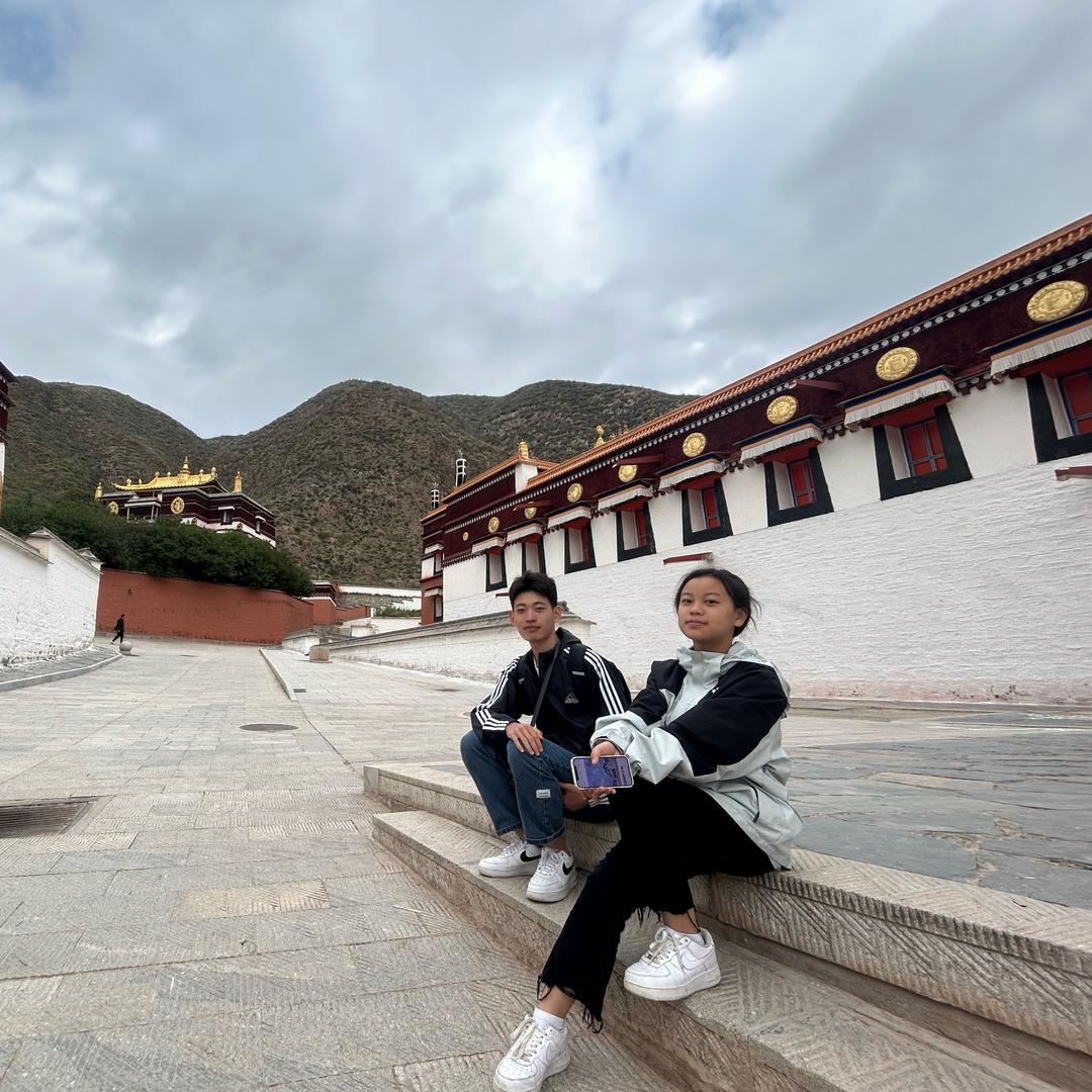 小黄是同学👀