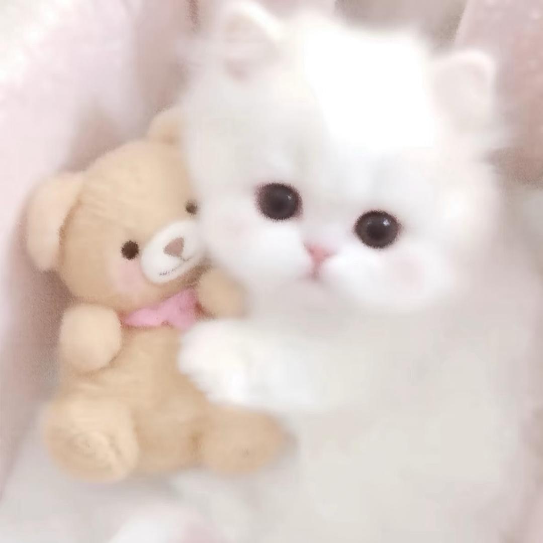 啾咪