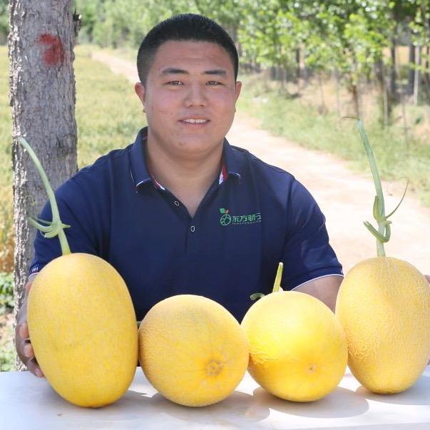 大壮～章丘兄弟种业