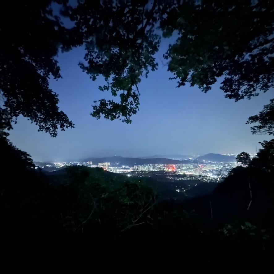 热爱小王的小汪💐