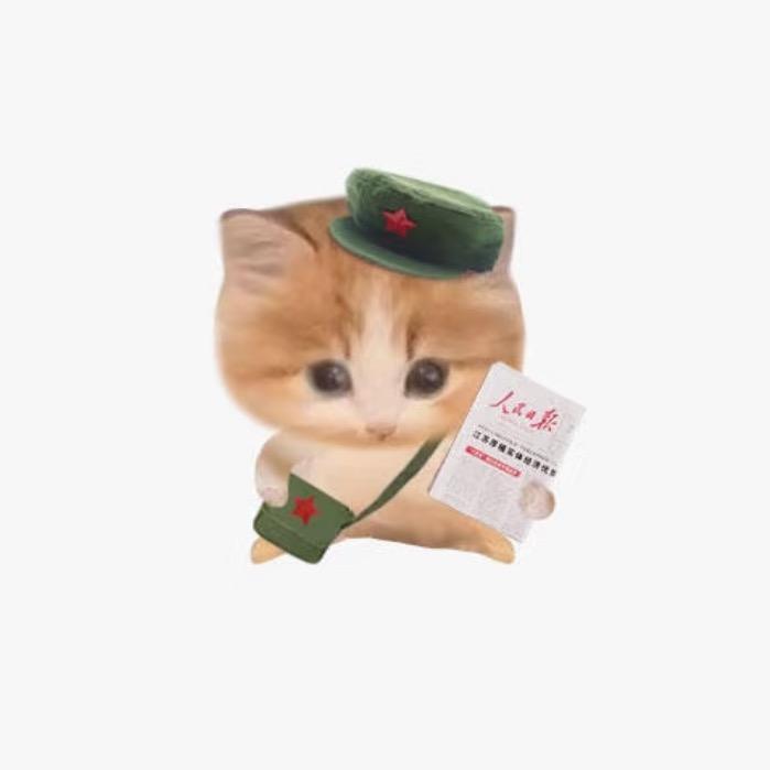 起床给老公的小三做月子餐
