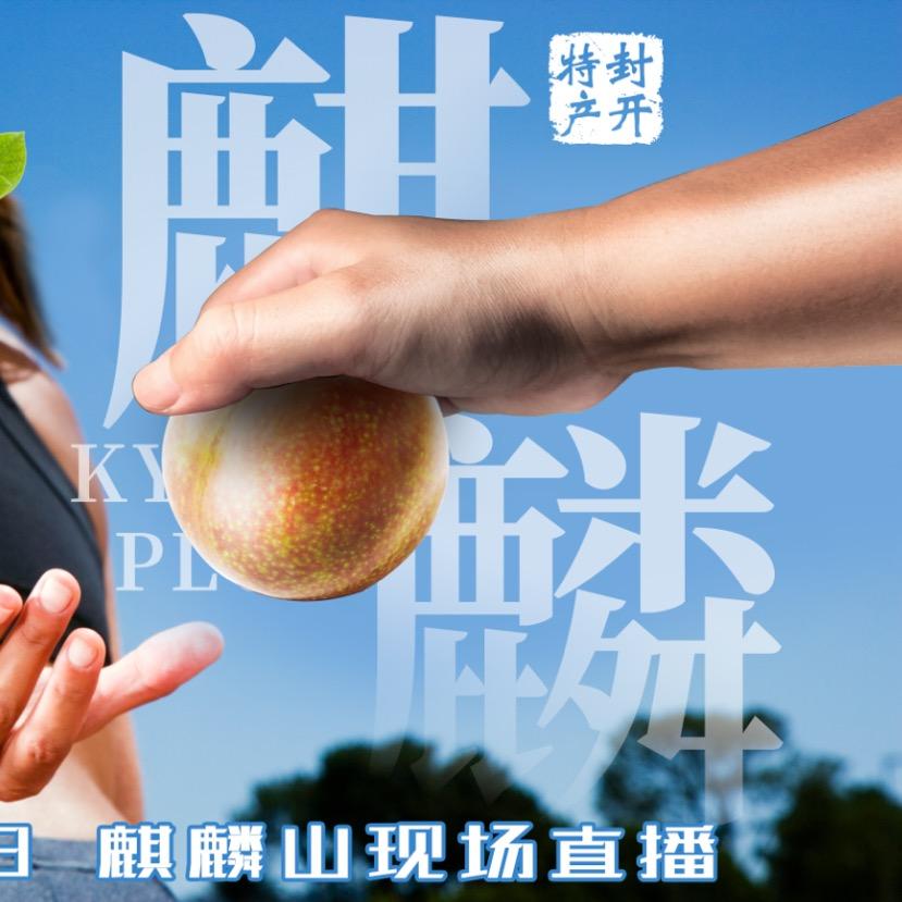 封开县绿丰源特产店