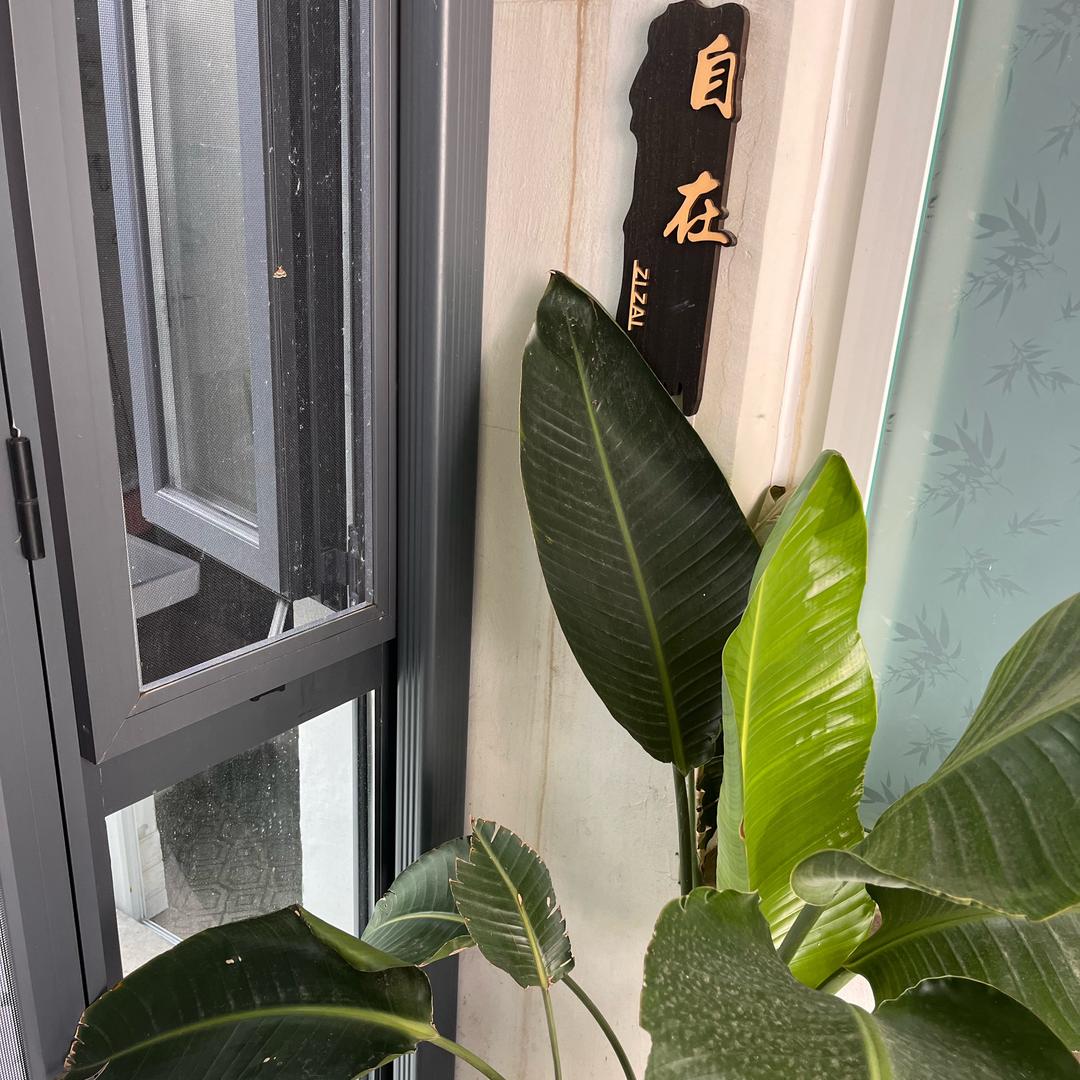 济南芳菲小院（庭院民宿）