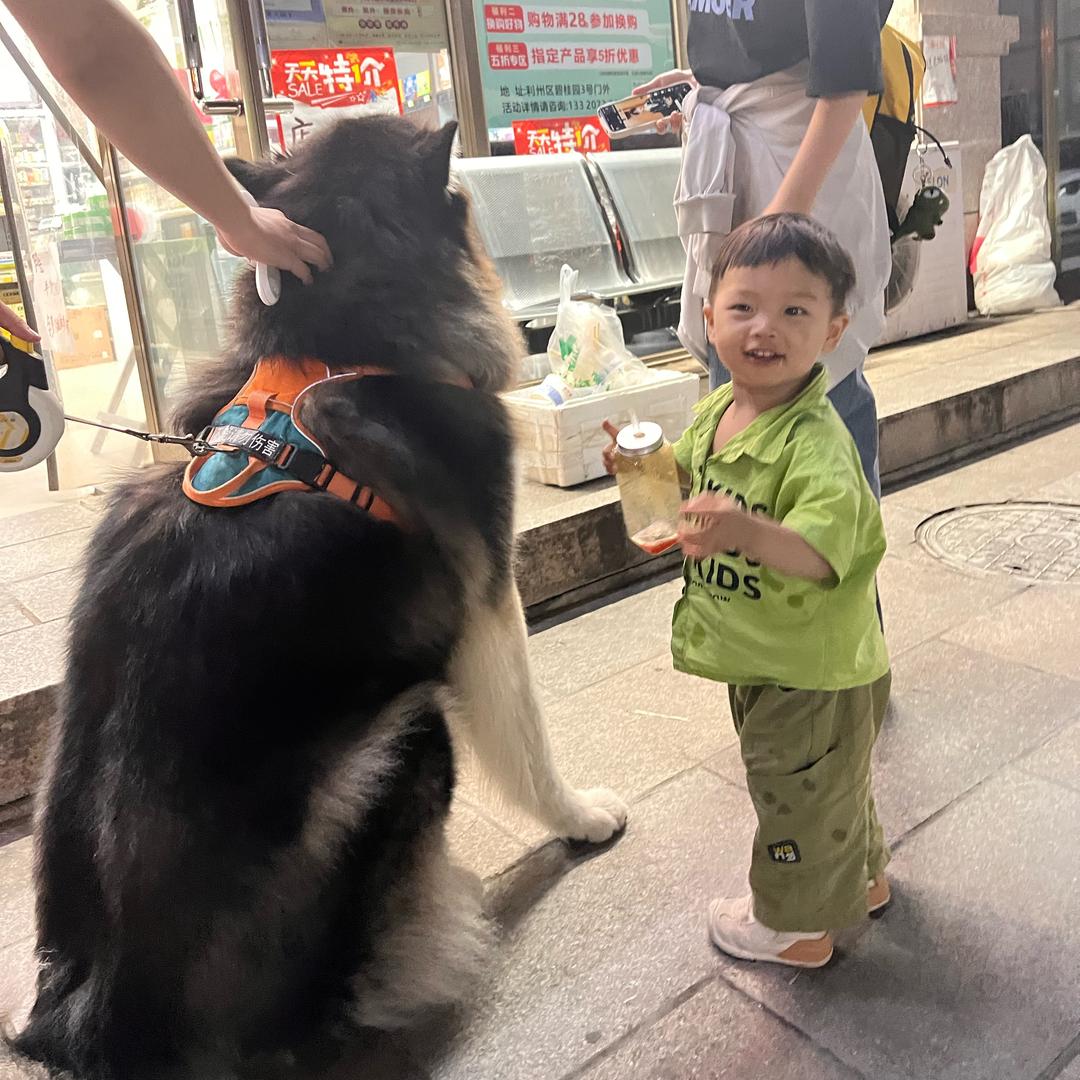 仔仔（成长记）🐰🐯