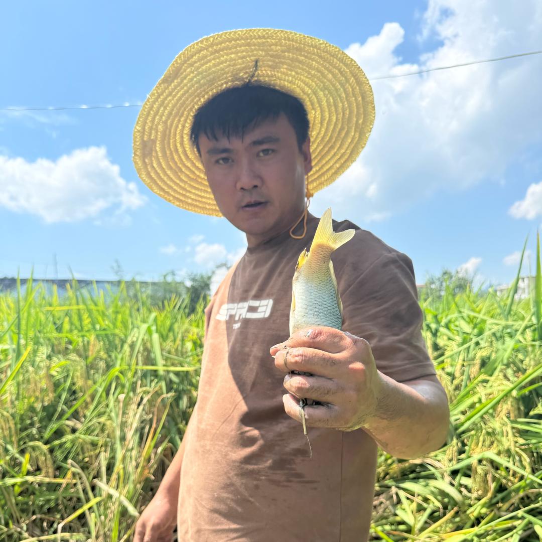 老赵