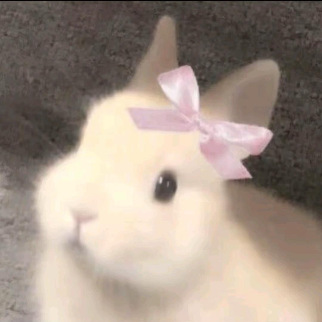 小鱼小鱼小鱼