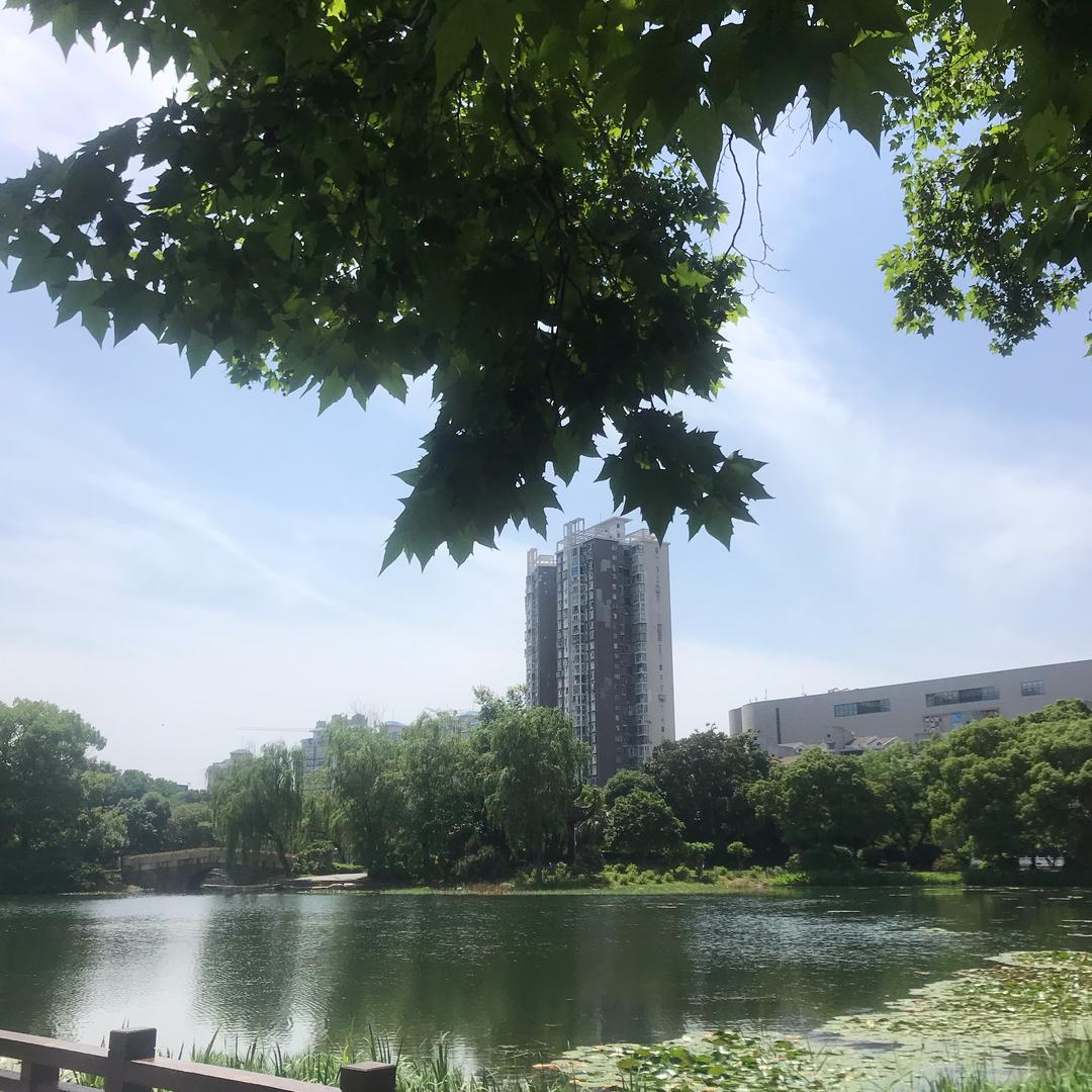 春风宜人（龙）