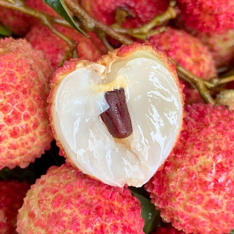 高州领鲜荔枝【供应链】