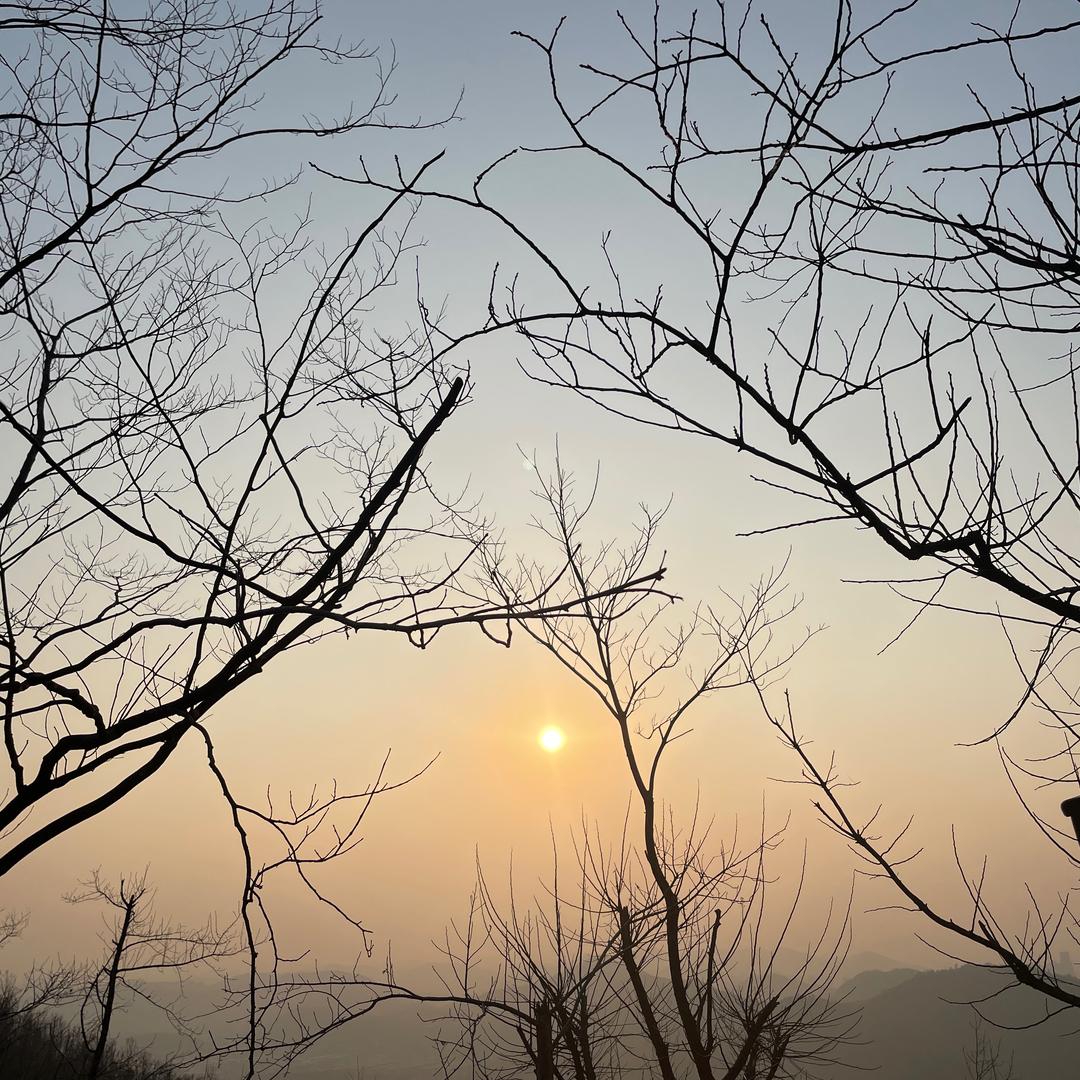 小精灵超爱吃