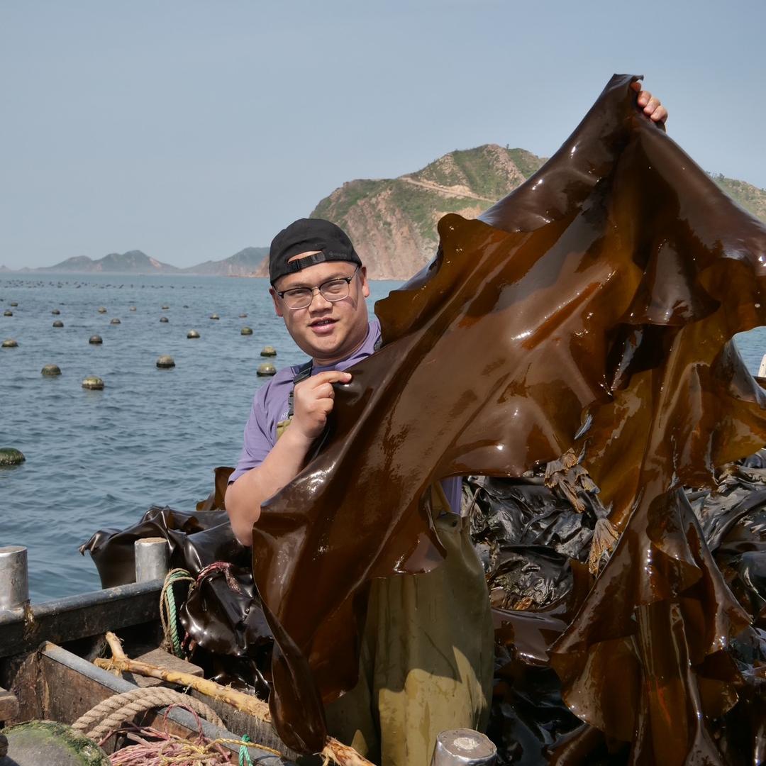 海带世家-渤粹品质海带
