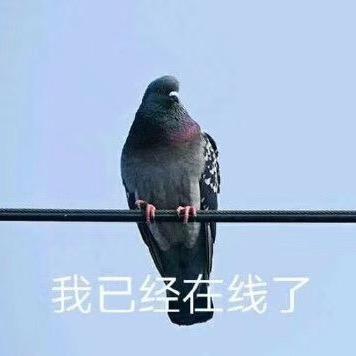 小zc