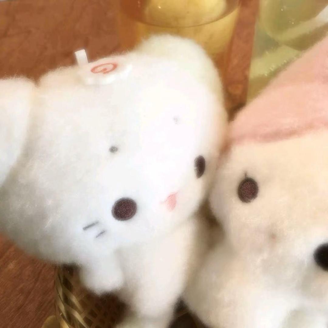 小琦^