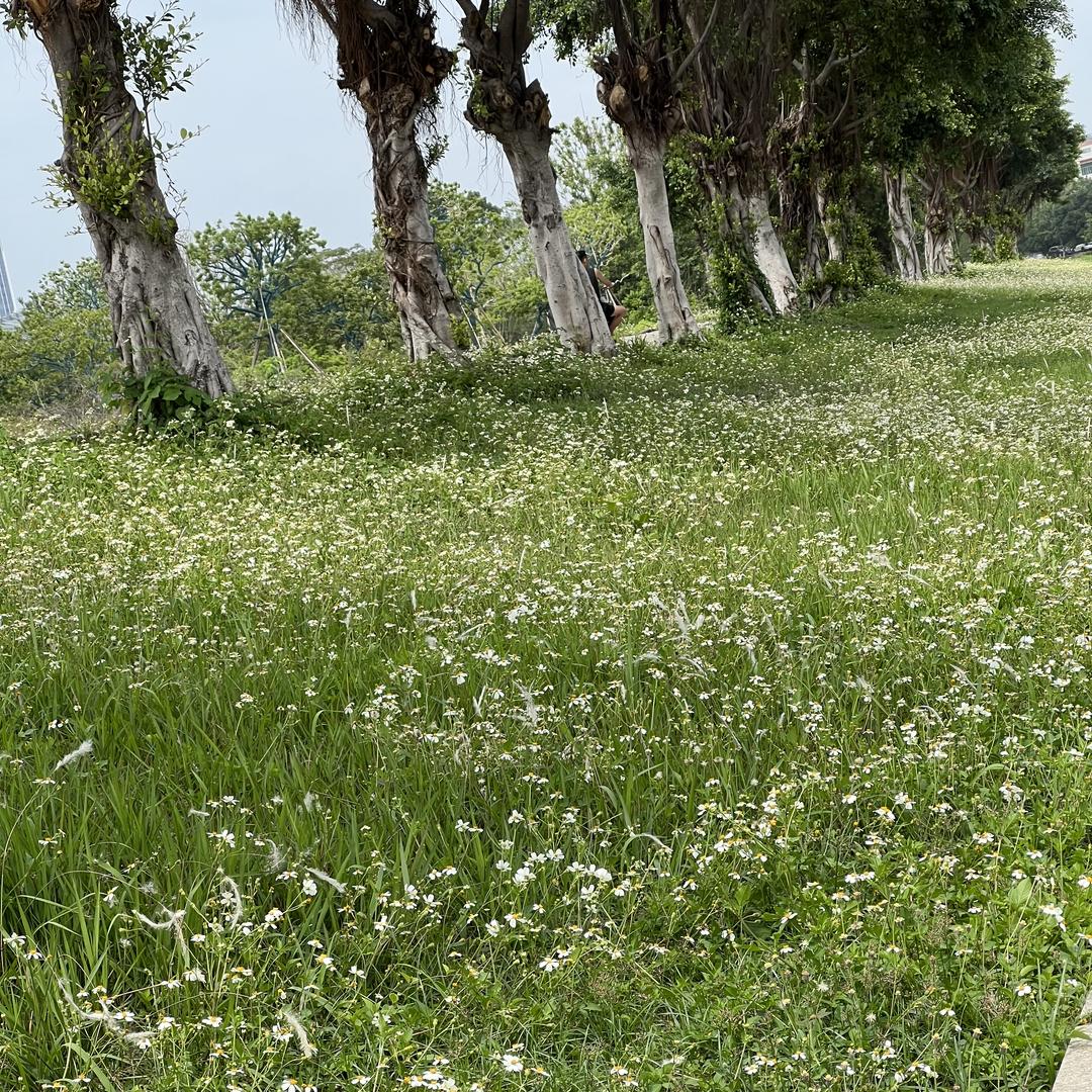 广州迎哥二手车