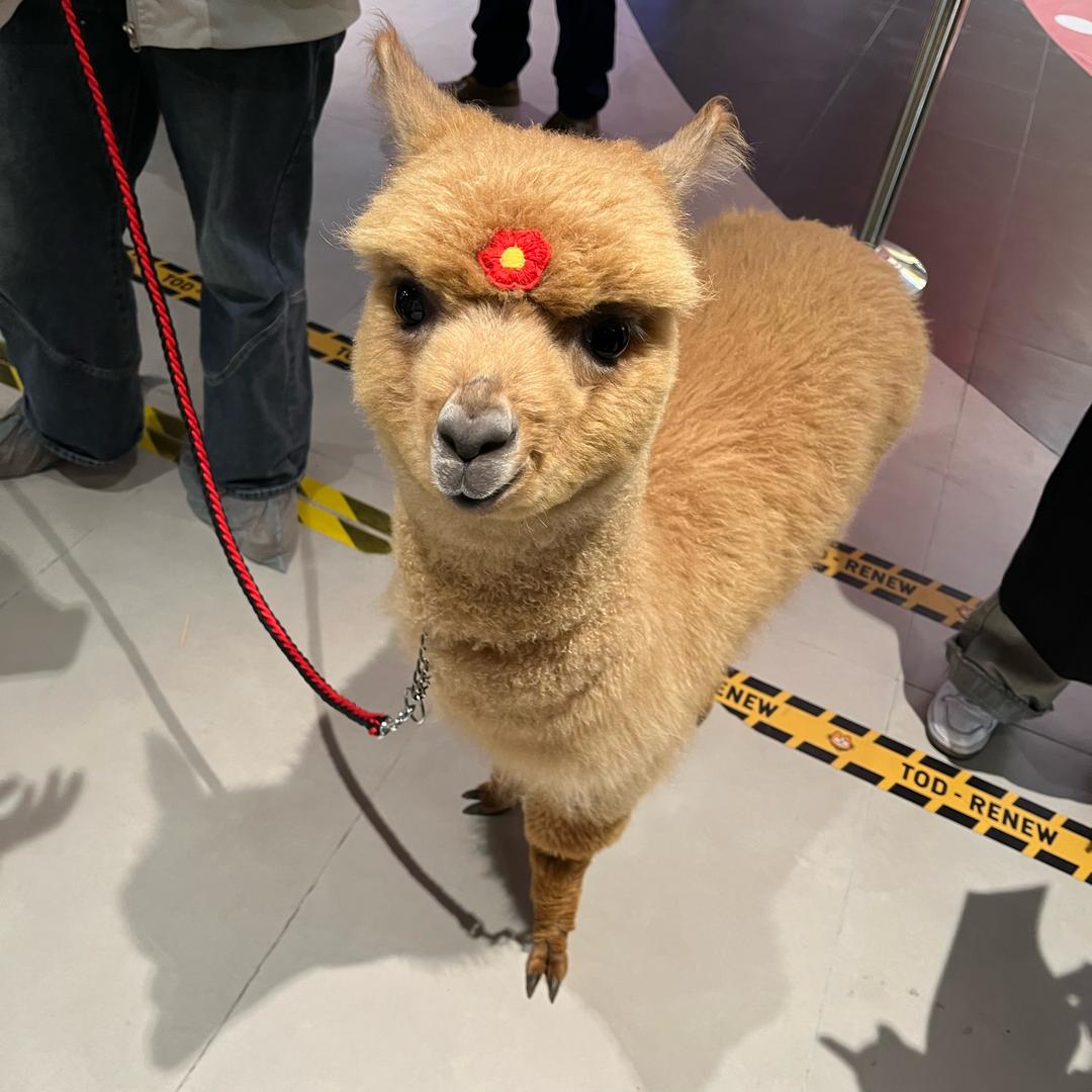 乡下土包子