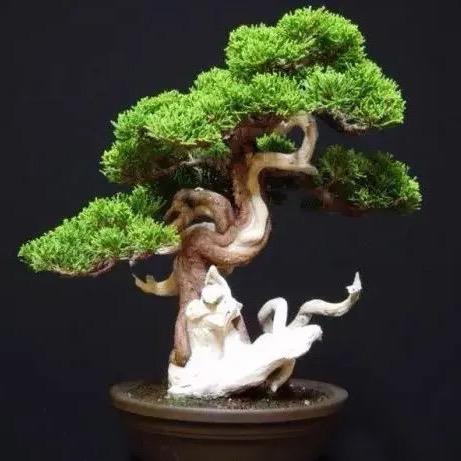 一边叔吹牛