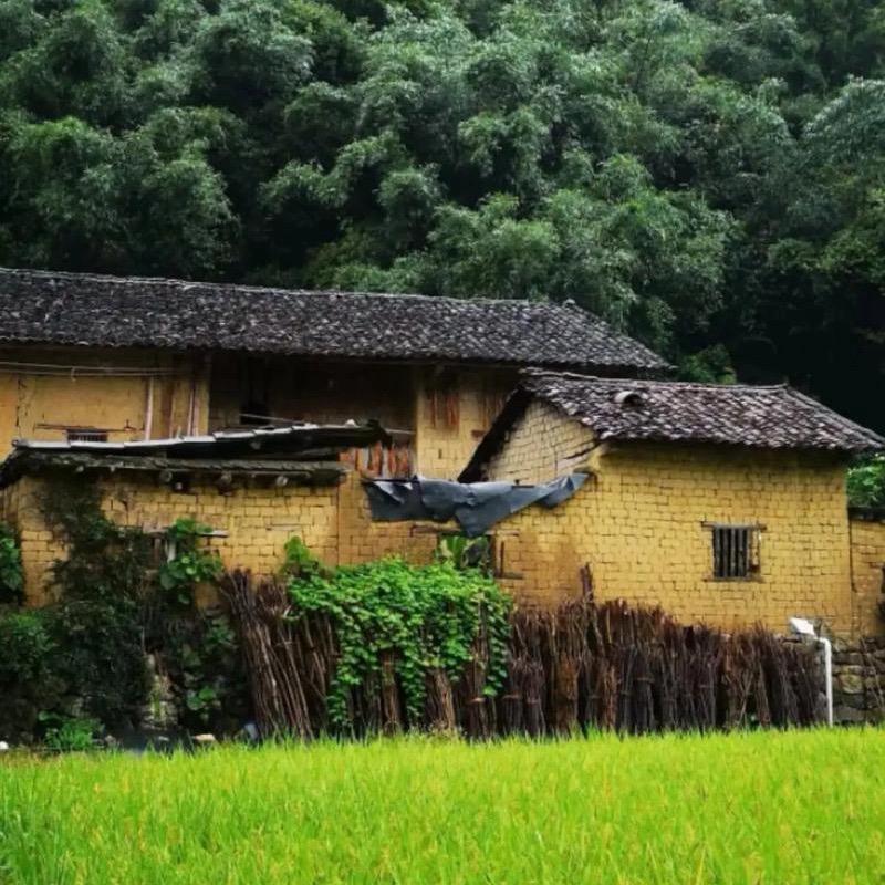 农村孩子赚钱上大学