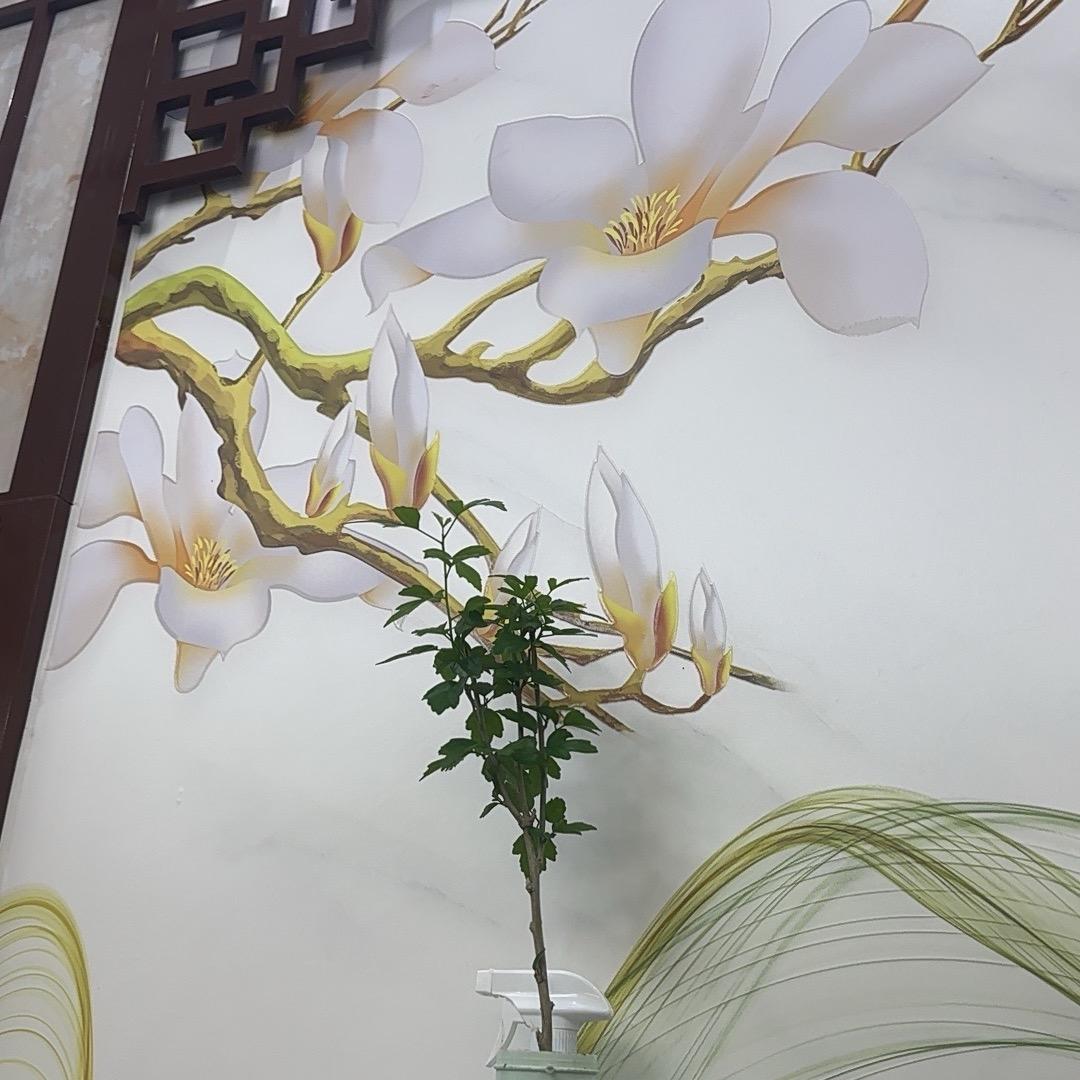 秀琴（找老伴）