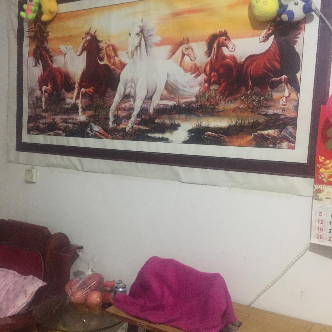 云姐好4