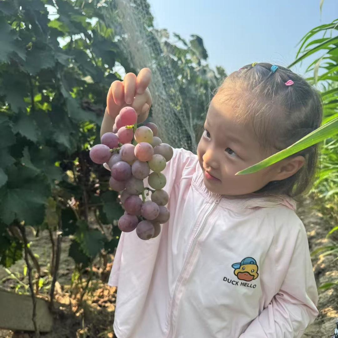 小时农场