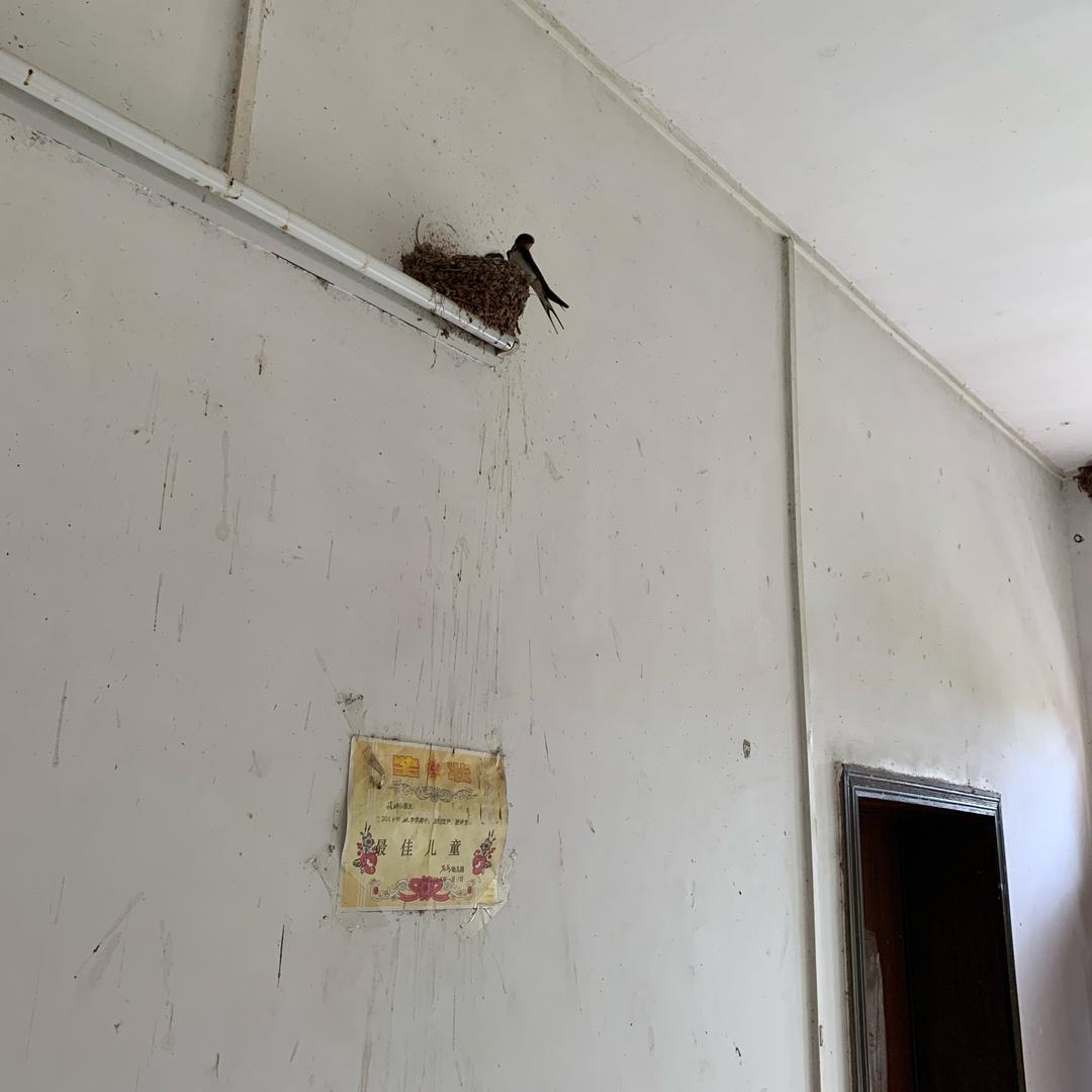 唐锡文尽力就好