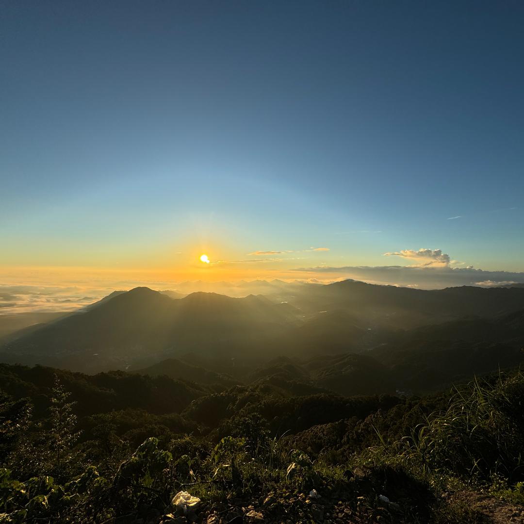 没什么想分享的
