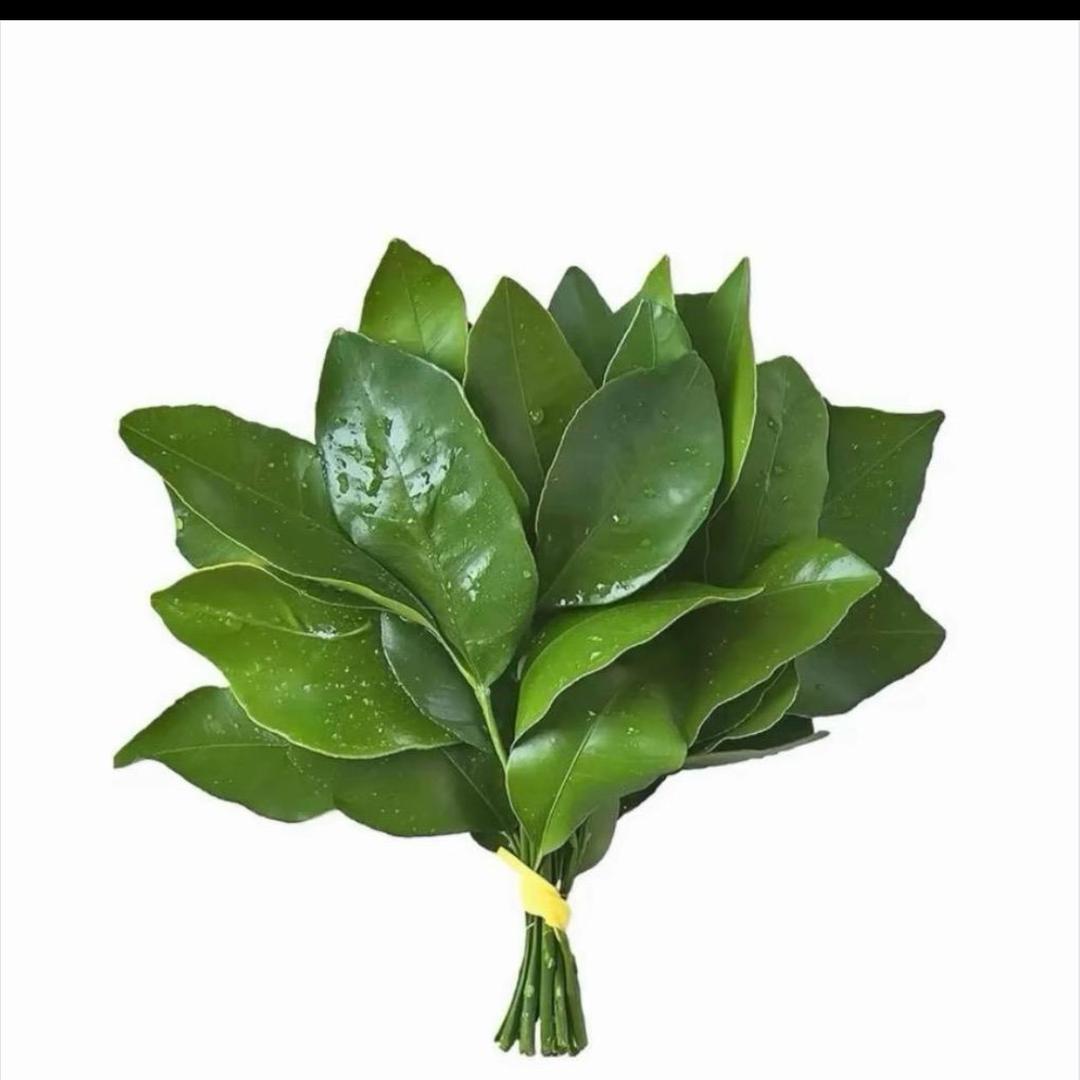 好物推荐小小青青蛙蛙🥳🥳