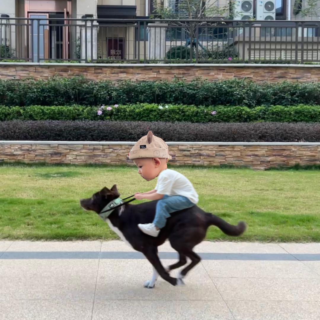 Ccc陈小只