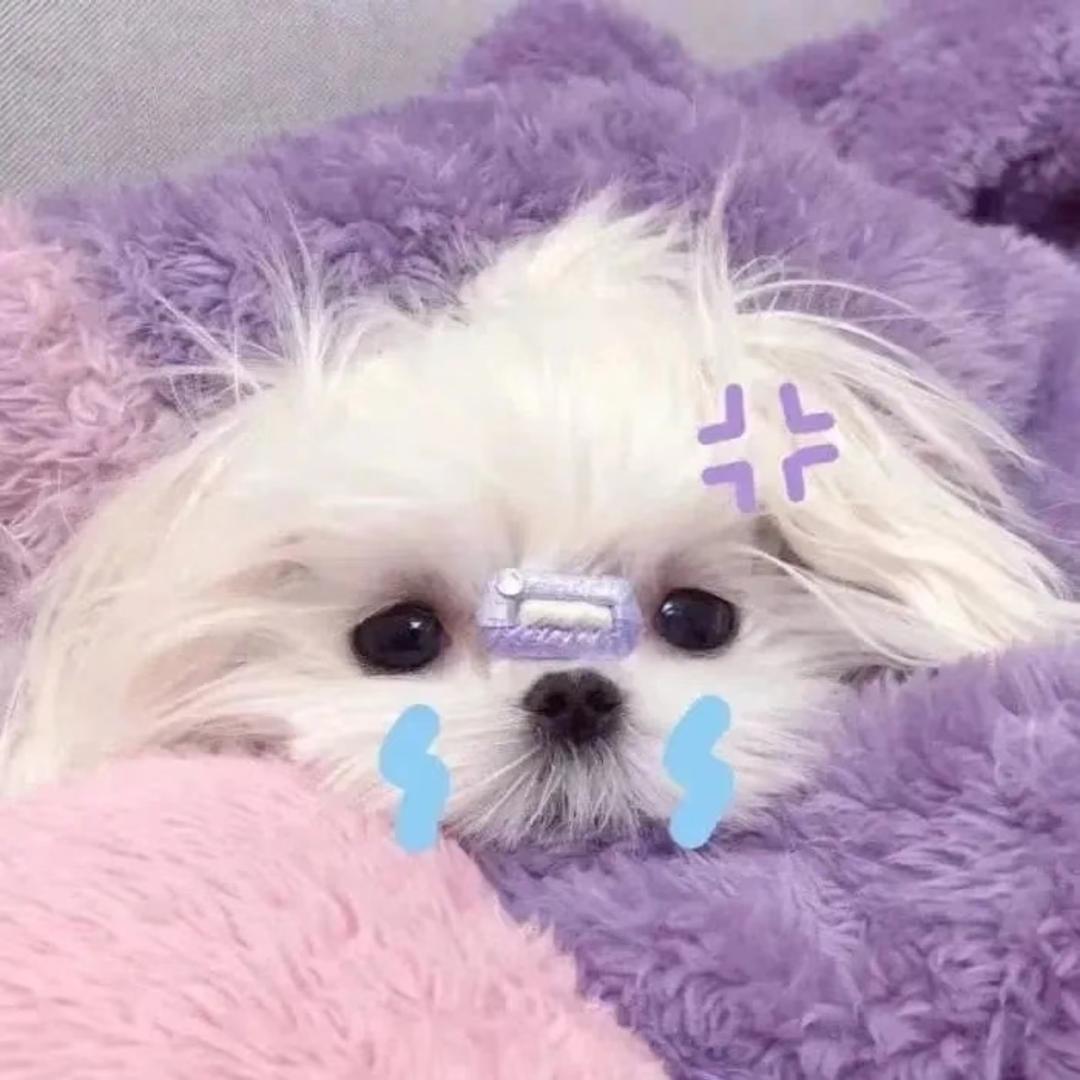 ❥ღ爱念念 ⁷⁷~