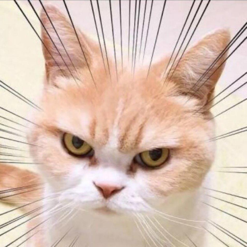 𝙈𝙖𝙧𝙘𝙤𝙨𝙂𝙧𝙚𝙮