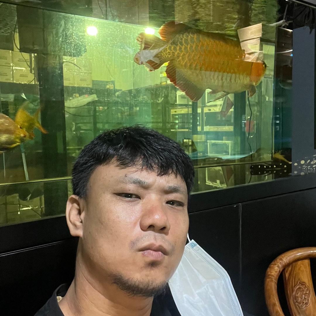 聚龙涛水族