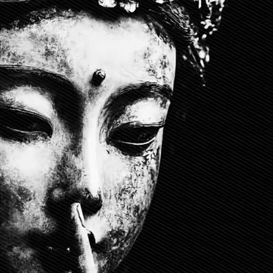下山虎📿