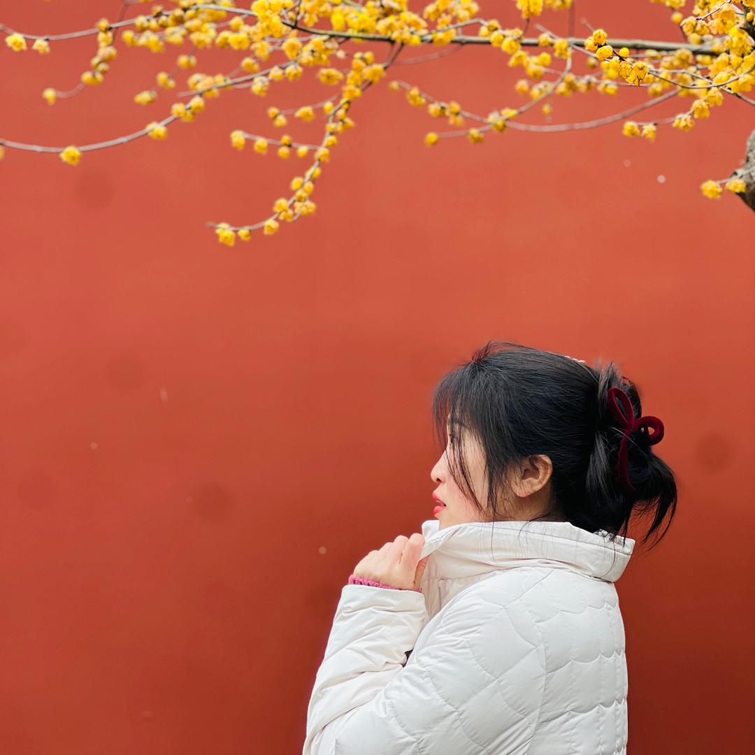 亲爱的燕十八