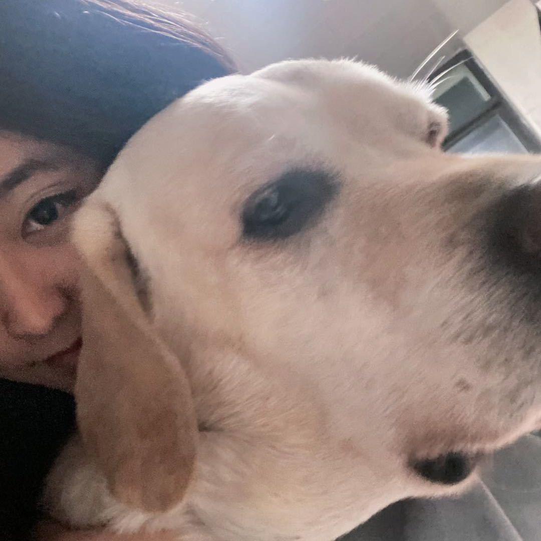 🐶臭屁小狗🐶