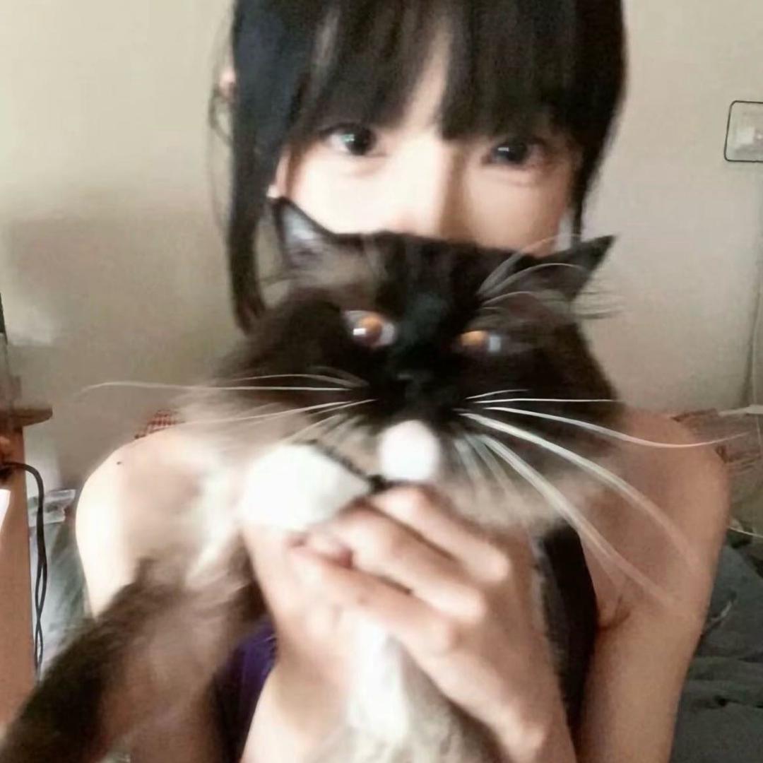 o(≧v≦)o