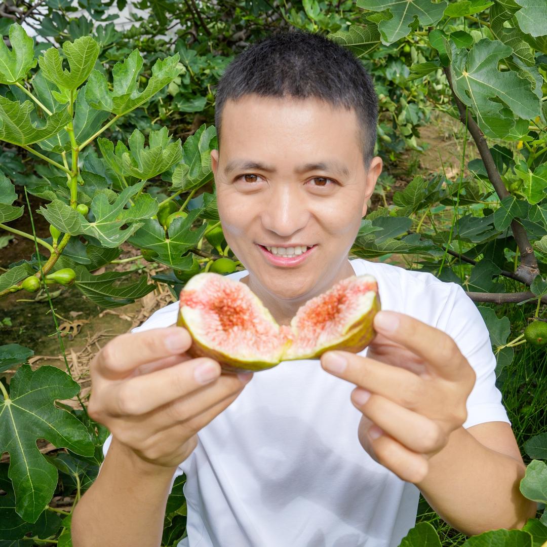 云南花果王（青联推荐官）