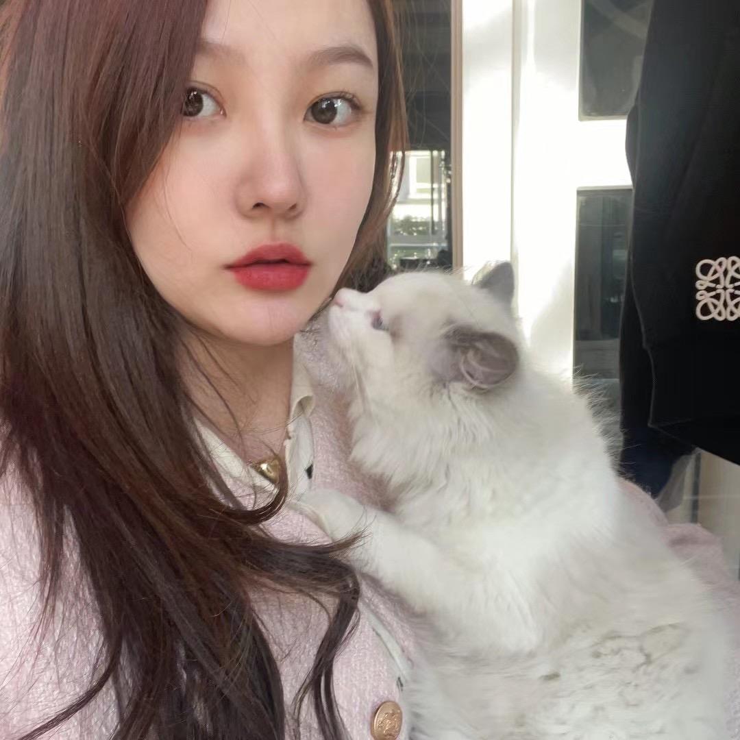 人生赢家张曼玉