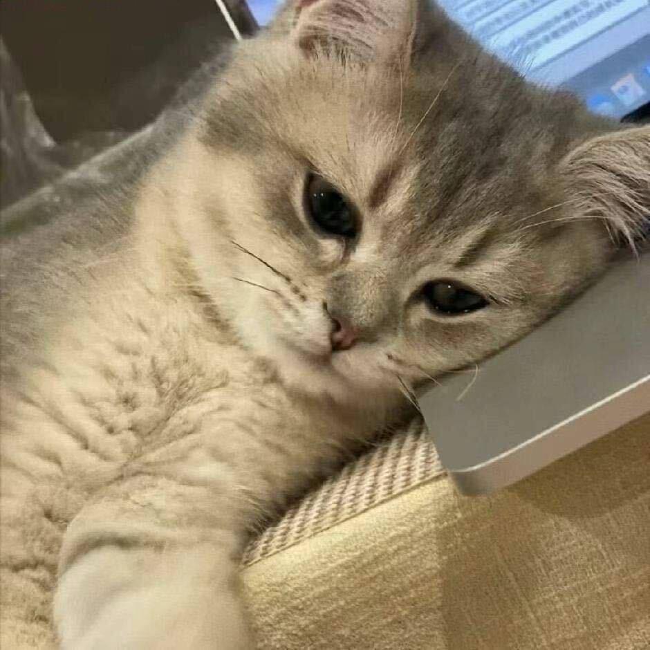 奇了个怪了