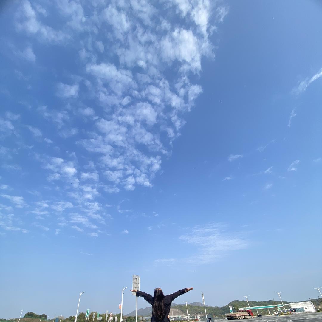 小麦TTOD