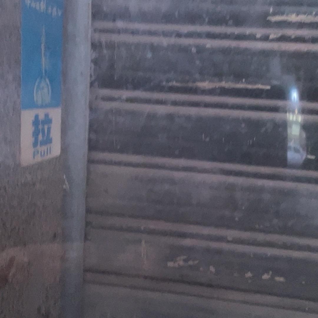 终南行者