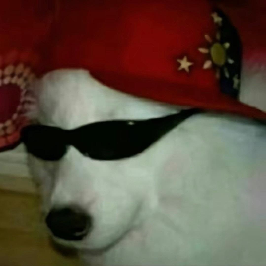 飞机