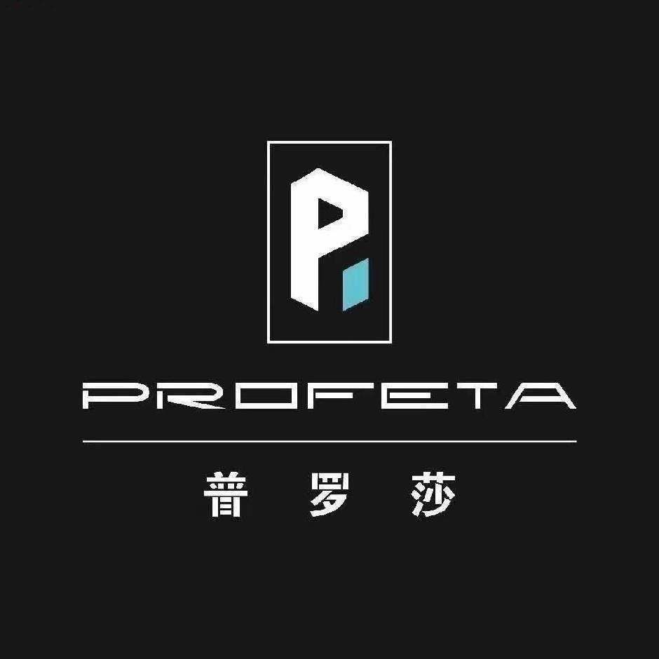 普罗莎系统门窗—安师傅