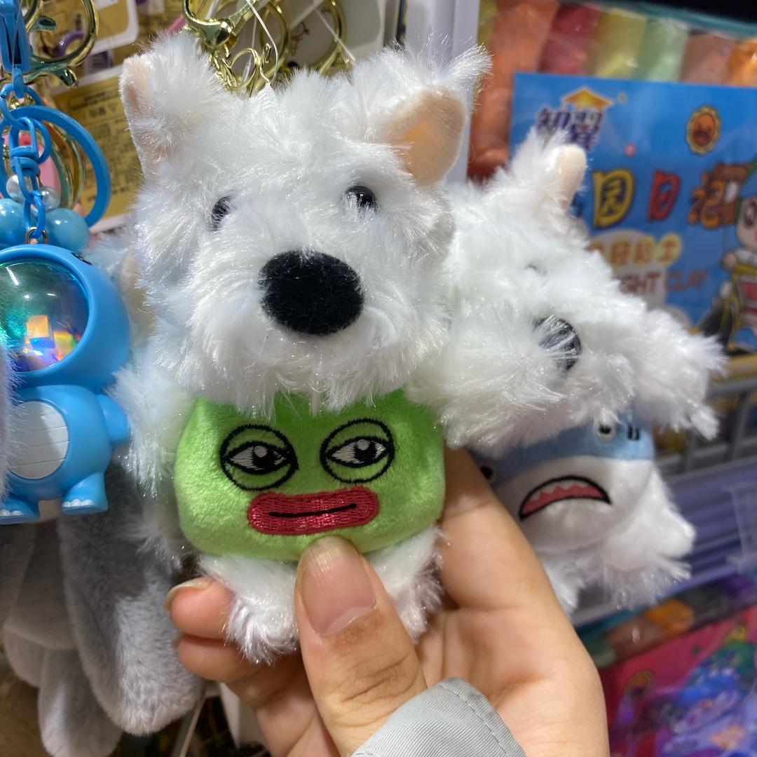 只看不买