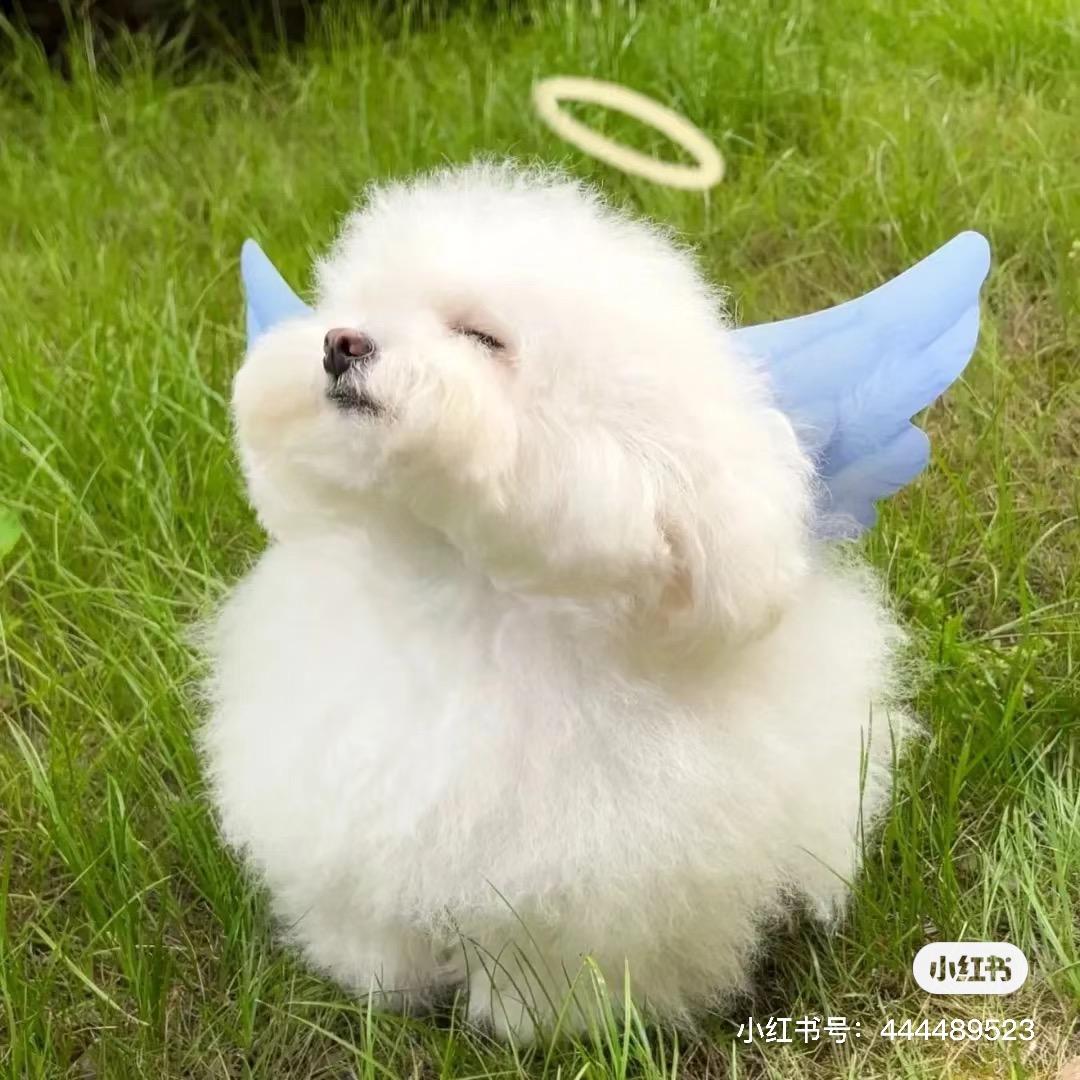 千里逢迎