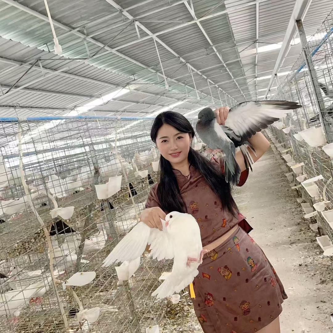 江油卖鸽子的小姐姐