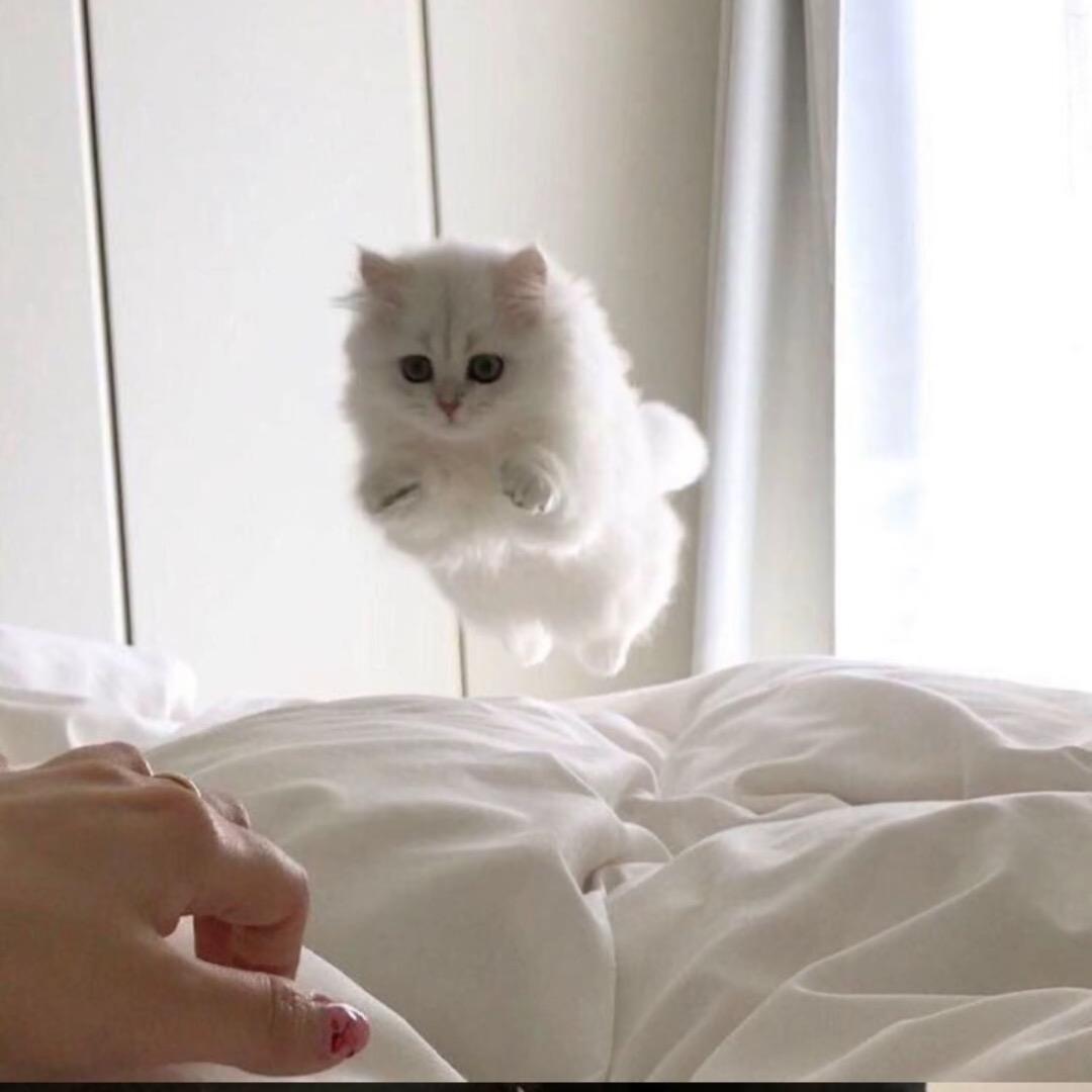 璁