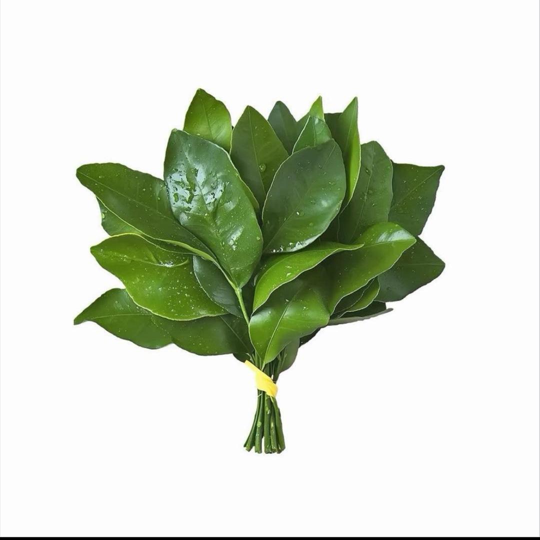 小宋