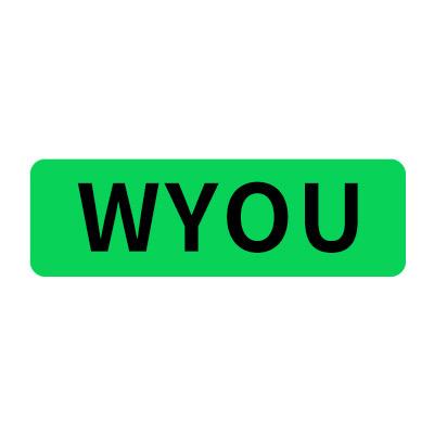 WYOU车品店
