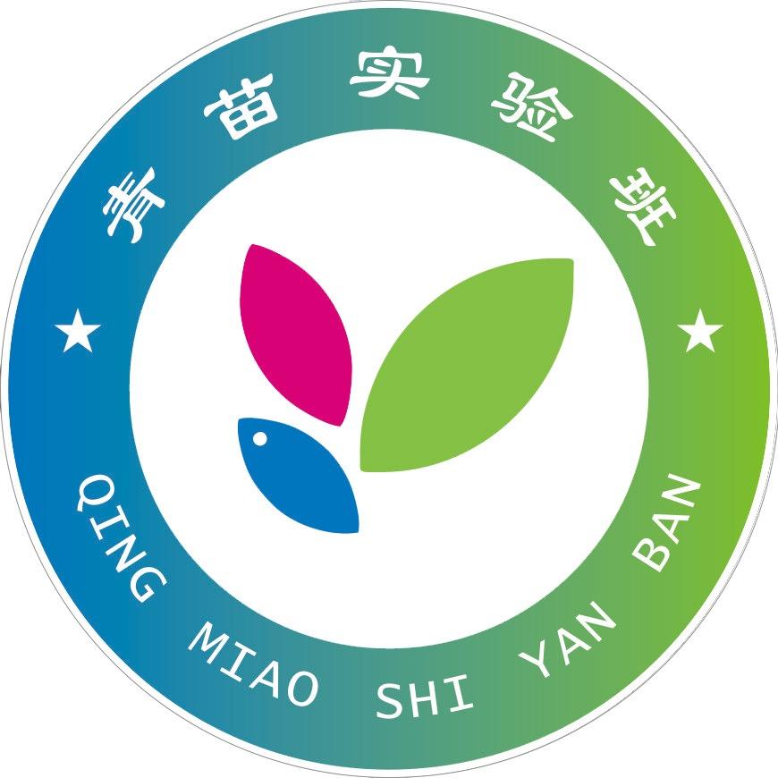 青苗实验班陈老师